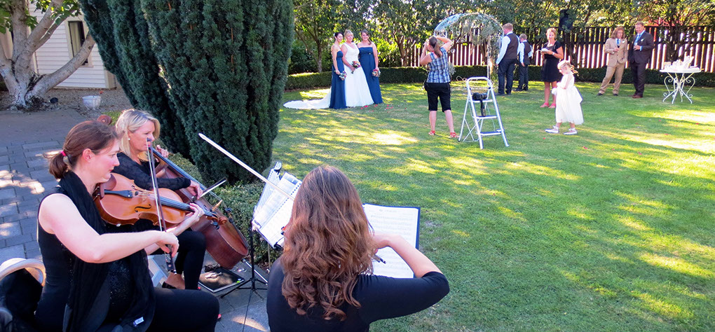 The Haydn String Quartet played for a wedding at the Martinborough Hotel in the Wairarapa in early 2014.